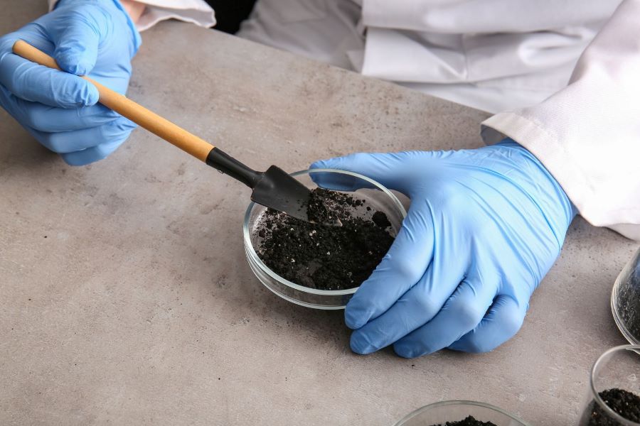 Soil Testing Can Reveal Micronutrient Levels In Your Soil St Biologicals