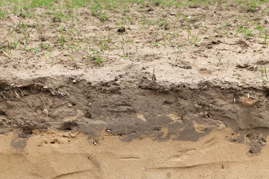 Topsoil Loss Can Cause Zinc Deficiency St Biologicals