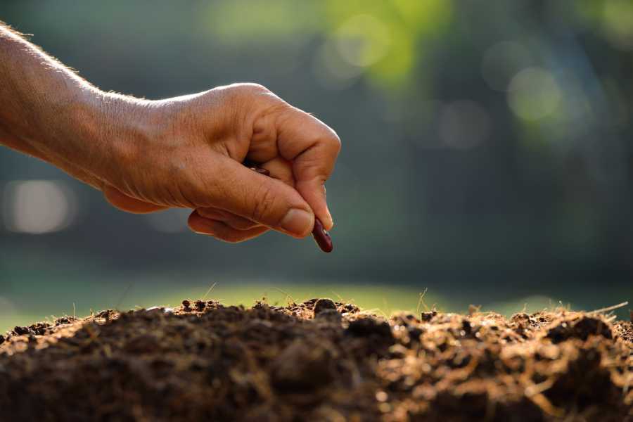 Drill Seeds Directly Into Crop Residue To Maintain Proper Carbon Levels In Soil