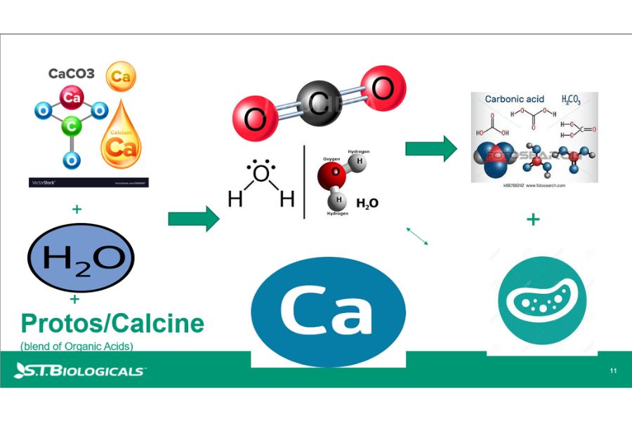 Improving Saline And Sodic Soils With Calcine St Biologicals