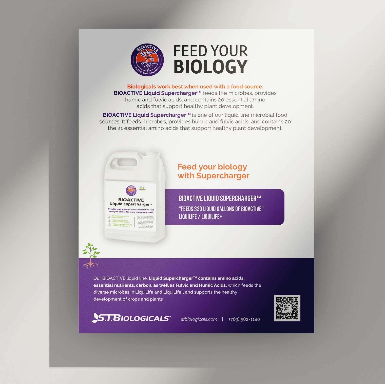 Stbiologicals Bioactive Flyer Mockup Feed Your Biology