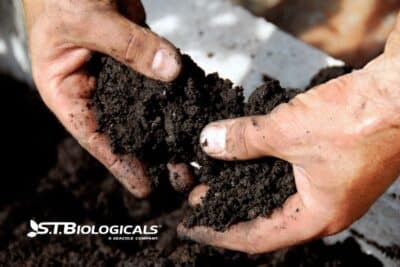 Understanding Electrical Conductivity In Soil St Biologicals