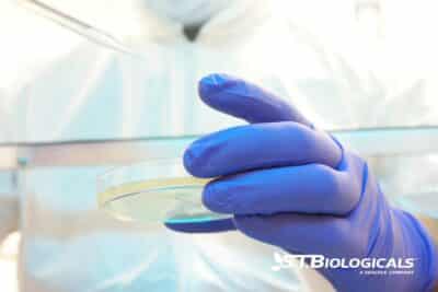 Get Started With Tissue Sampling St Biologicals