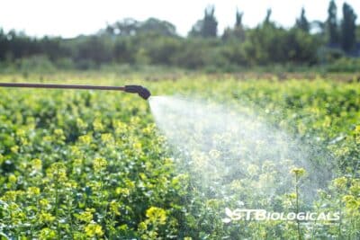 Boost Yield And Cut Costs With Biologicals St Biologicals