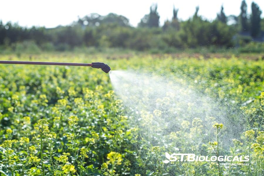Boost Yield And Cut Costs With Biologicals St Biologicals