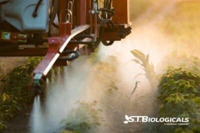 Foliar Spray To Optimize Micronutrient Uptake St Biologicals