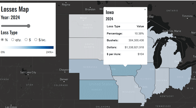Iowa Losses 2024 St Biologicals