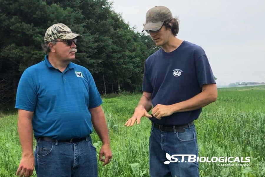 Crop Scouting For Row Crops St Biologicals