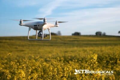 Nutrient Foliar Sprays With Drone And Ai Tech St Biologicals