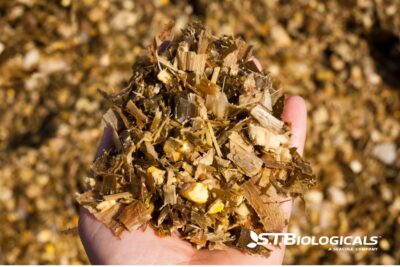 Silage As Stewardship St Biologicals