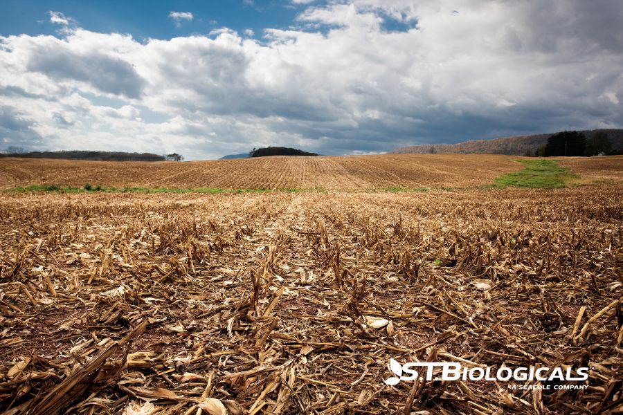Benefits Of Biologicals In Crop Residue Management St Biologicals