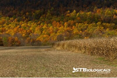 Fall Soil Sampling St Biologicals