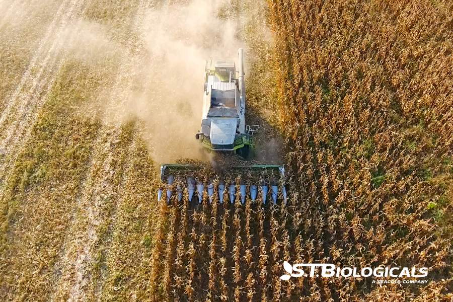 Managing Crop Residue St Biologicals