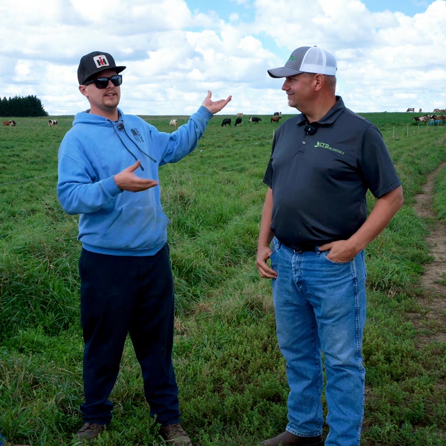 Stbiologicals Rutkowski Farms Cows Pasture With Mentors 01