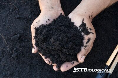 Reintroducing Biology Into Degraded Soils St Biologicals