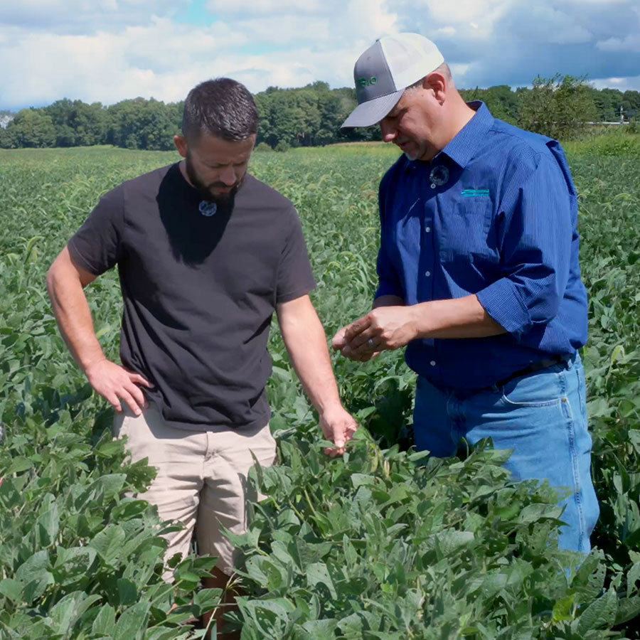 Stbiologicals Sparks Cedarlee Mentoring Crops 02