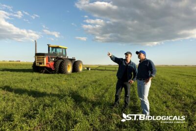 Drought Proofing Your Acres St Biologicals