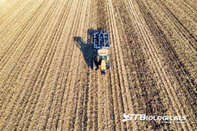 Is Your Soil Deficient Or Toxic St Biologicals