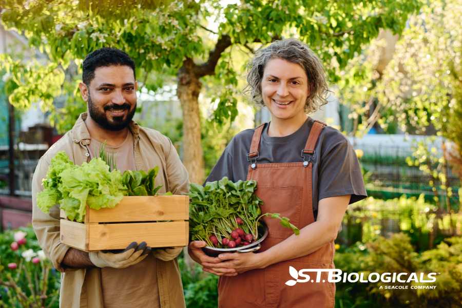 Regenerative Ag Keys To Success