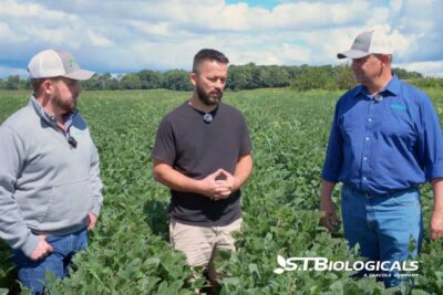 Consider When Improving Nutrient Delivery