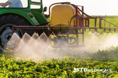 Foliar Feeding For Saline Soils St Biologicals