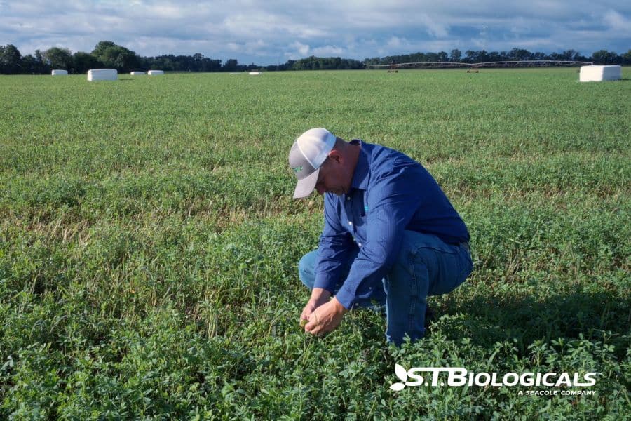 Micronutrients For Healthy Plant Development St Biologicals