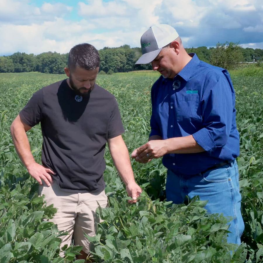 Stbiologicals Sparks Cedarlee Mentoring Crops 02 Sq