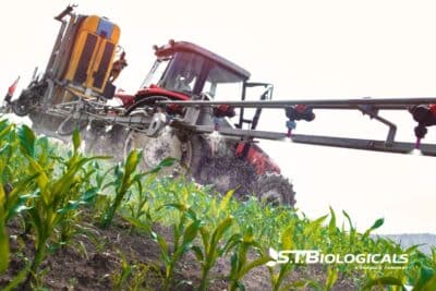 1b Cover Foliar Feeding To Feed The Plant