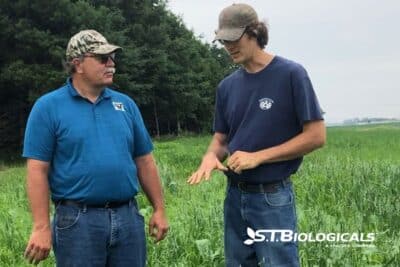 1b Cover Plan Now To Optimize Forage Quality Next Year