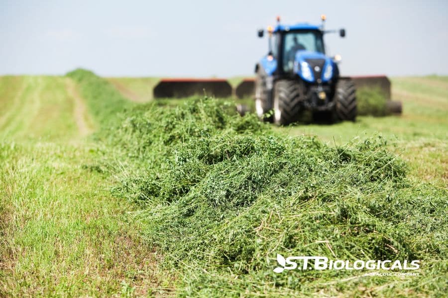 2a Cover What To Do Now For A Successful Alfalfa Crop